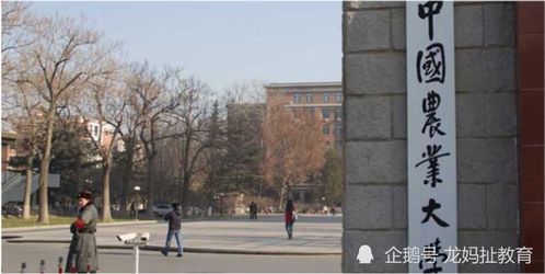 重慶迎五所雙一流大學布局，含兩所985高校南京環保工程校區